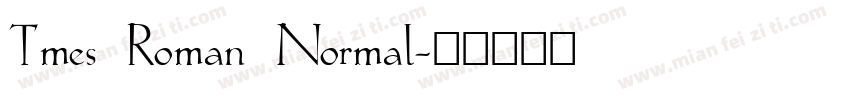 Tmes Roman Normal字体转换